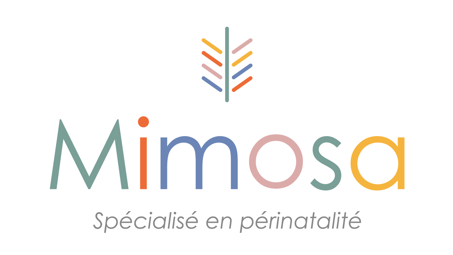 Centre Mimosa